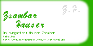 zsombor hauser business card